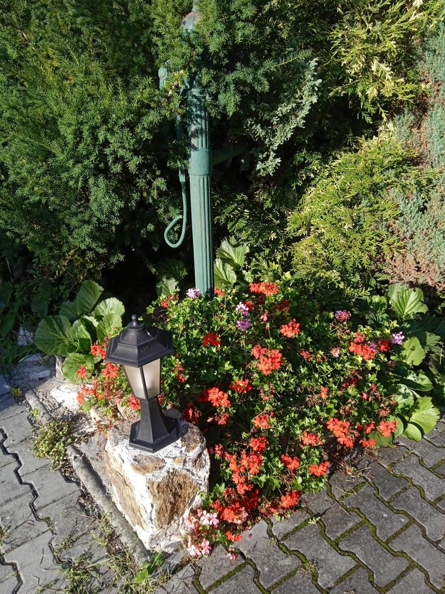 Penzion Kalina Tábor Exterior foto