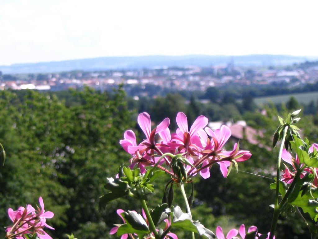 Penzion Kalina Tábor Habitación foto
